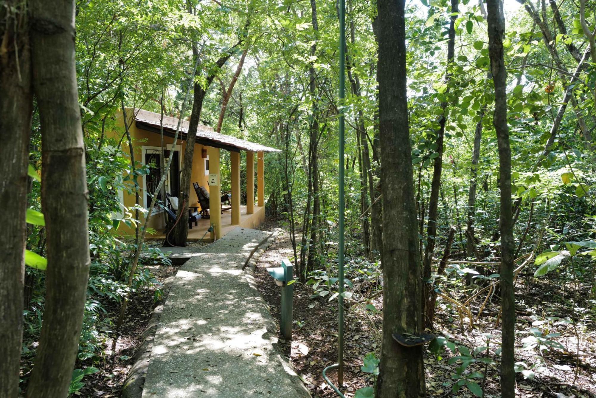 Mundo Milo Eco Lodge Paraíso Extérieur photo