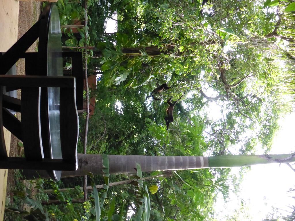 Mundo Milo Eco Lodge Paraíso Extérieur photo
