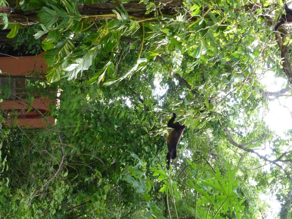 Mundo Milo Eco Lodge Paraíso Extérieur photo