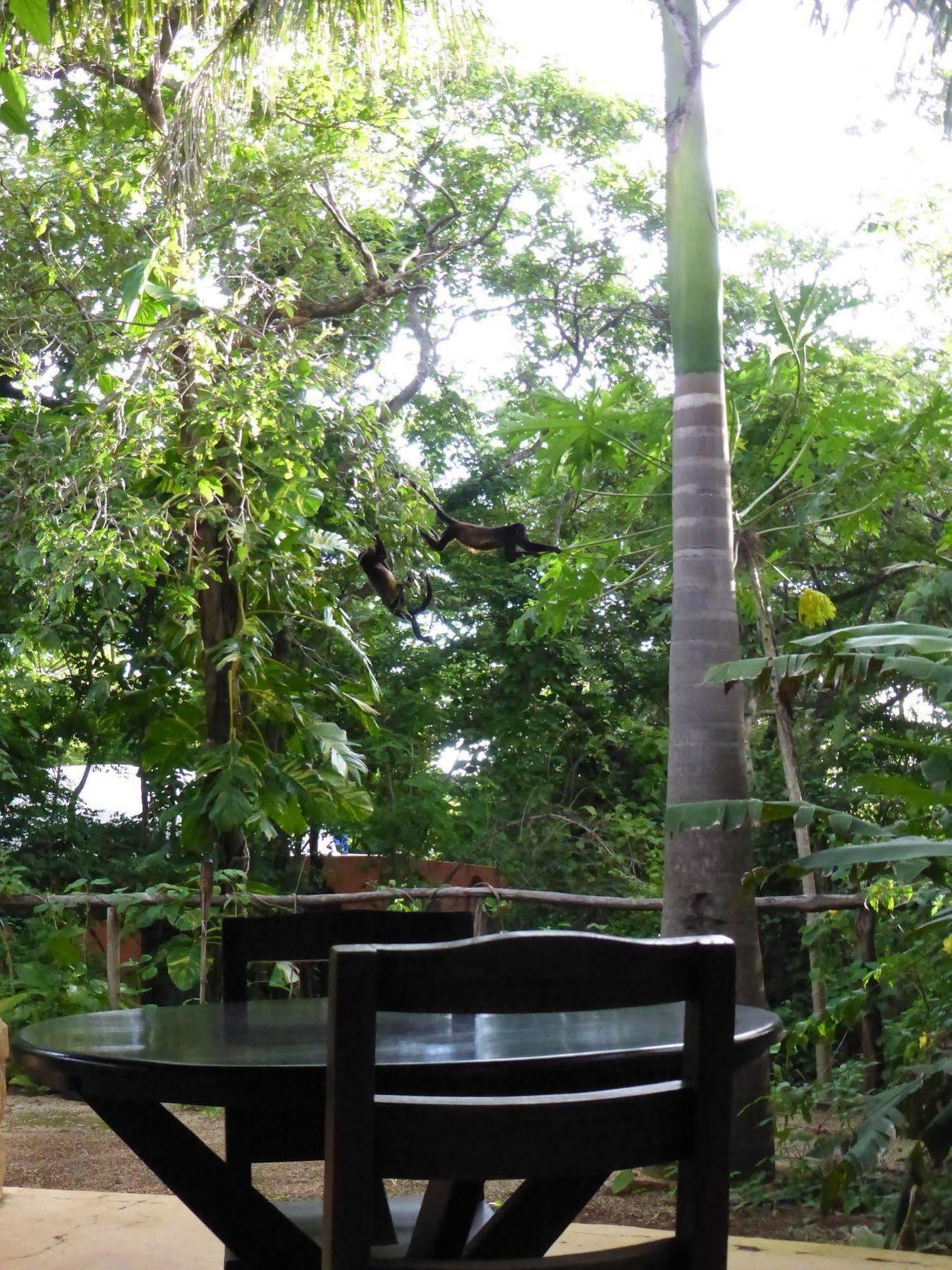 Mundo Milo Eco Lodge Paraíso Extérieur photo